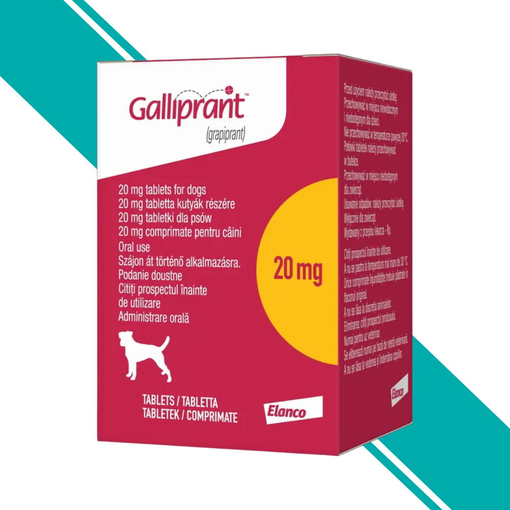 Galliprant 20mg Tablet for Dogs - Pack of 30